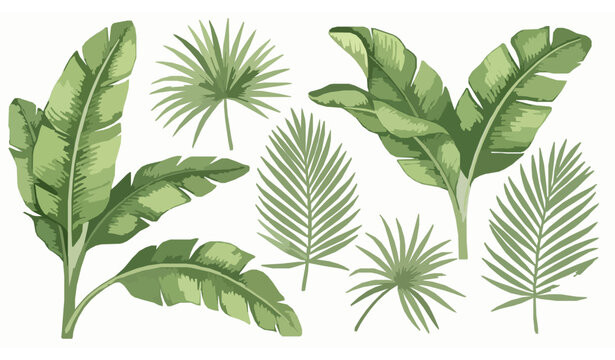 Watercolor banana leaf set &ndash; hand-drawn tropical rainforest foliage clipart