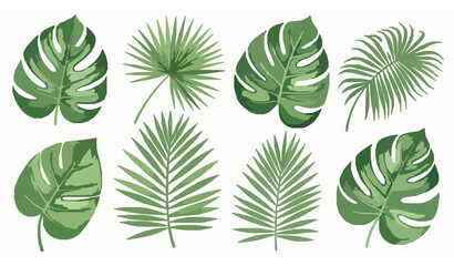 Watercolor tropical palm and jungle leaves set – hand-drawn exotic foliage clipart © MstBabli