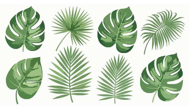 Watercolor tropical palm and jungle leaves set &ndash; hand-drawn exotic foliage clipart