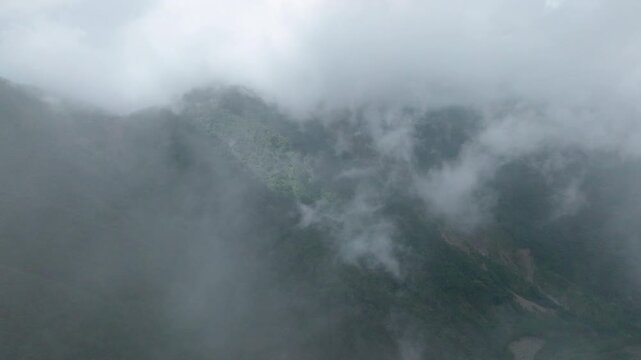 Aerial view of fog and dark green forest Rich natural ecosystem, rainforest in Alishan Mountain, Taiwan.