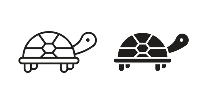 Tortoise icon for web and application. EPS10