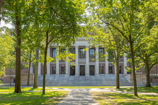 Students and tourists rest in lawn chairs in Harvard Yard, the open old heart of Harvard University campus