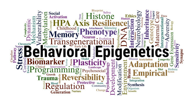 Behavioral Epigenetics Word Cloud. A Professional Overview of DNA Methylation, Histone Modification, Transgenerational Trauma, and the Biological Impact of Environment on Behavior.
