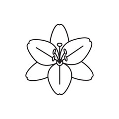 Fototapeta premium Detailed Drawing of a Single Flower.