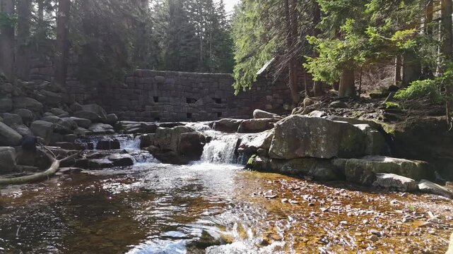 a mountain stream of crystal clear cool spring fresh water flows among stones and rocks in a pine forest