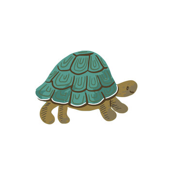 Cute Turtle Illustration Safari Animal Kids Style