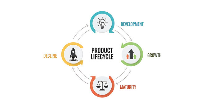 Product Lifecycle Stages Development Growth.