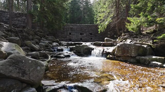 a mountain stream of crystal clear cool spring fresh water flows among stones and rocks in a pine forest