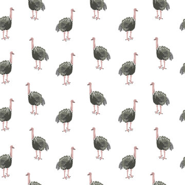 Cute Ostrich Seamless Pattern Safari Style