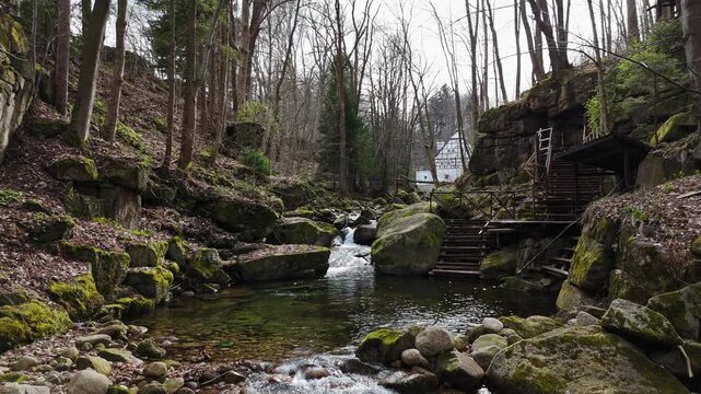 a mountain stream of crystal clear cool spring fresh water flows among stones and rocks in a pine forest