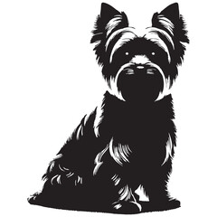 Naklejka premium PrintYorkshire, Terrier, Yorkie, Cute, Small, Tiny, Adorable, Fluffy, Playful, Loyal, Energetic, Stylish, Elegant, Companion, Friendly, Smart, Loving, Brave, Confident, Charming, Toy, Mini, Silky.