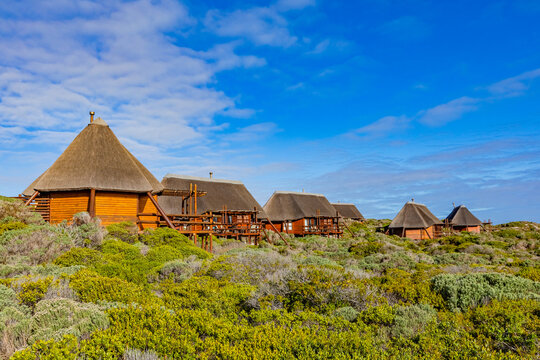 View of wooden vacation beach houses, with thatch roofs