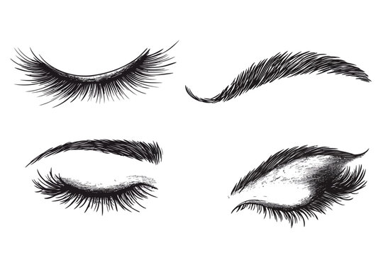 Four illustrations of eye and brow elements with thick lashes and defined brow. Rendered in grayscale