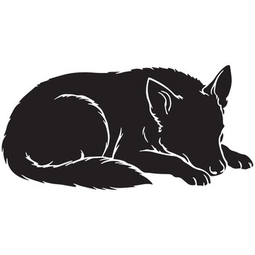Norwegian, Buhund, Nordic, Spitz, Agile, Energetic, Loyal, Intelligent, Active, Herding, Farm, Working, Friendly, Alert, Brave, Playful, Devoted, Compact, Strong, Versatile, Watchdog, Confident.
