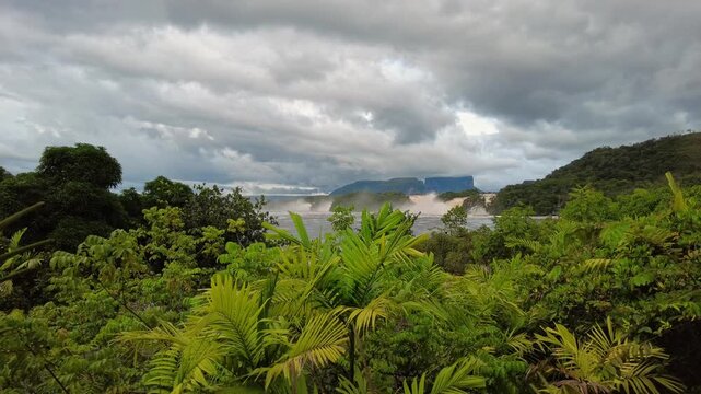 A POV shot of Canaima&rsquo;s endemic vegetation on a cloudy day near El Hacha Falls, Carrao River, Canaima National Park, Venezuela