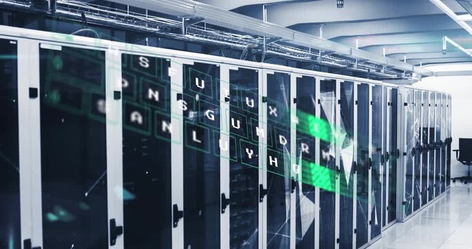 Animation of data processing against plexus networks over computer server room