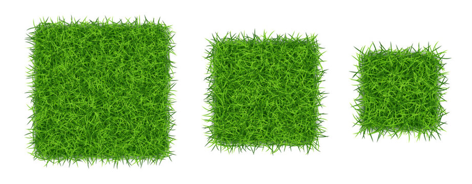 Green grass in squares shape isolated. Vector
