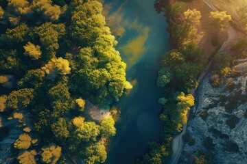 Obraz premium Aerial Drone View Winding River Autumn Forest Golden Light