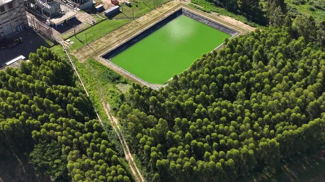 Aerial video footage of a factory treatment lagoon surrounded by lush trees and a walking path