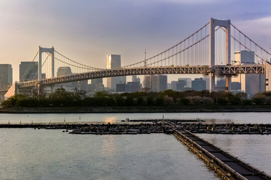 Rainbow Bridge spanning across Tokyo Bay with city skyline during golden hour dusk
