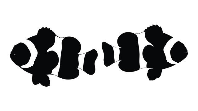 Two clownfish silhouettes are displayed side by side against a plain white background