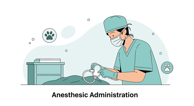 Veterinarian Administering Anesthesia to Pet During Surgery in Operating Room