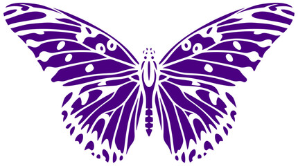 Purple butterfly vector silhouette, decorative insect wing pattern, elegant butterfly illustration for nature branding and creative design © Insa Batool
