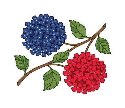 Vibrant blue and red hydrangea flowers on a green-leafed branch. Ideal for spring, summer, nature themes, greeting cards, or decorative vector designs.