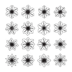 Obraz premium Collection of Hand-Drawn Floral Elements in Sketch Style for Design Projects