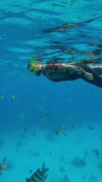 Vertical footage, A woman in snorkeling gear swims below the surface watching and flirting with a group of Indo-Pacific Sergeant, Abudefduf vaigiensis 