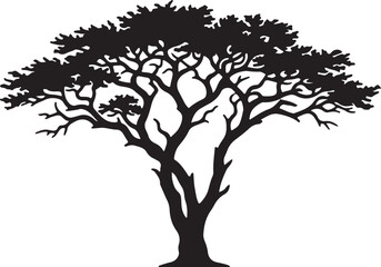 Fototapeta premium Maple Tree with Leaves Silhouette, Summer Nature Vector, Park Landscape Graphic, Tree Logo