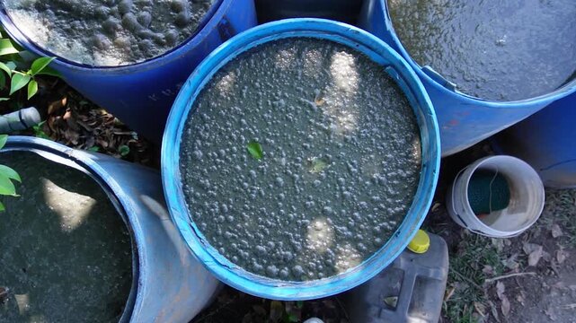 Jeevamrut is a fermented liquid fertilizer made from cow dung, urine, jaggery, and gram flour. Rich in microbes, it boosts soil fertility, plant growth, and supports eco-friendly farming.