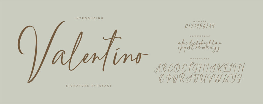 signature Font Calligraphy Logotype Script Brush Font Type Font lettering handwritten. Minimal modern urban fonts for logo, brand etc. Typography typeface uppercase lowercase and number. vector 