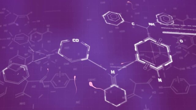 Animation of chemical formulas over data and egg with spermatozoids on purple background
