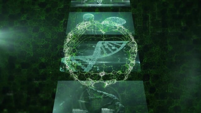 Animation of brain spinning over data processing