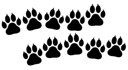 Black Paw Prints on White Background. © Keysa