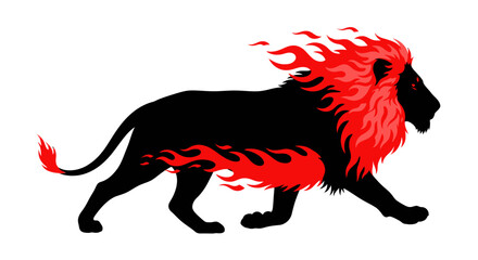Majestic black lion with fiery red mane and tail walking with power. © Citra