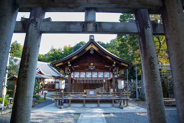 Obraz premium Temple in Kyoto, Japan