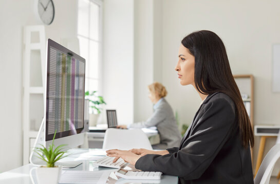 Serious brunette woman concentrated in screen of computer, checking financial database, planning company budget, working in office with other colleagues. Female accountant or analyst at work