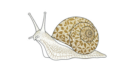 Stylized illustration of a snail with a geometric patterned shell. © mboku