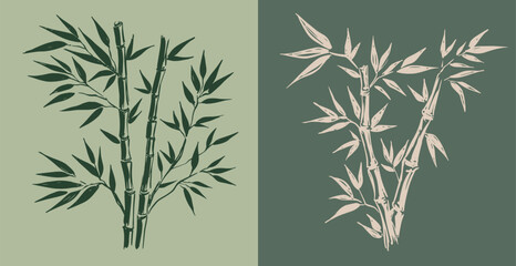 Fototapeta premium Bamboo tree, Hand drawn style.