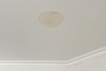 Fototapeta premium Significant brown moisture damage stain on a white residential ceiling from a water leak