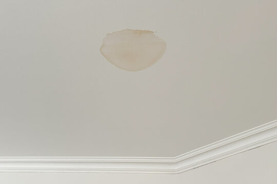 Significant brown moisture damage stain on a white residential ceiling from a water leak