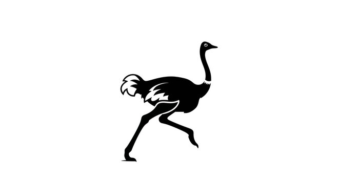Silhouette of an ostrich running on a white background