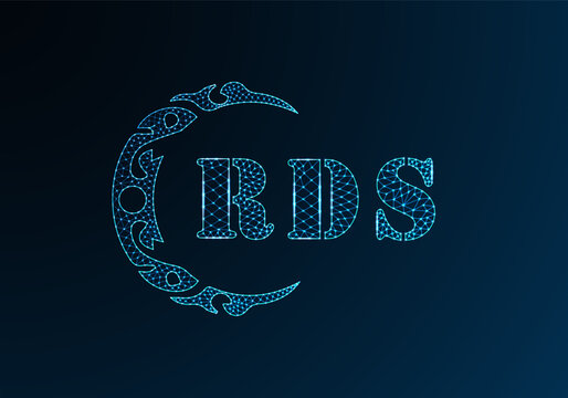 Low poly letter logo RDU design. RDU letter logo low poly vector design on blue color gradient background. RDU logo low poly design