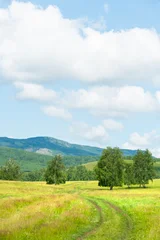 Green trees and grass in a forest meadow at sunny day. Country road in the field. Mountains and the blue sky with clouds in the background. © smallredgirl