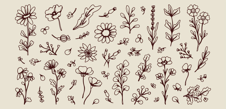 botanical wildflower drawing set, aesthetic garden flower doodles, hand drawn nature leaf sketches, creative floral element line art, minimal botanical doodle set, scrapbook floral art elements, elega