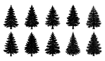 Obraz premium Engraved pine and fir tree collection brown silhouette forest vector isolated on white background