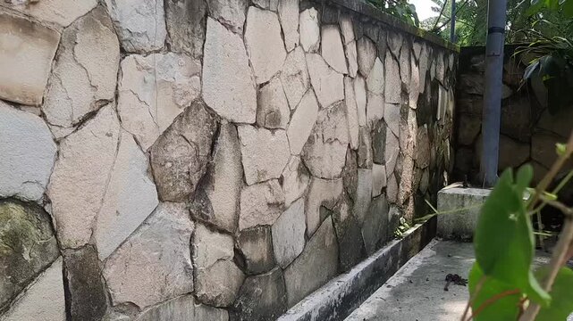 Close-up shot of a garden wall made of natural stones covered in green moss and damp algae, showing aged texture.