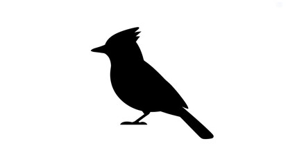 Obraz premium black silhouette of a blue jay bird isolated on transparent background